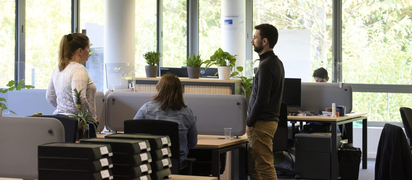 Incubateur Descartes Startup manager