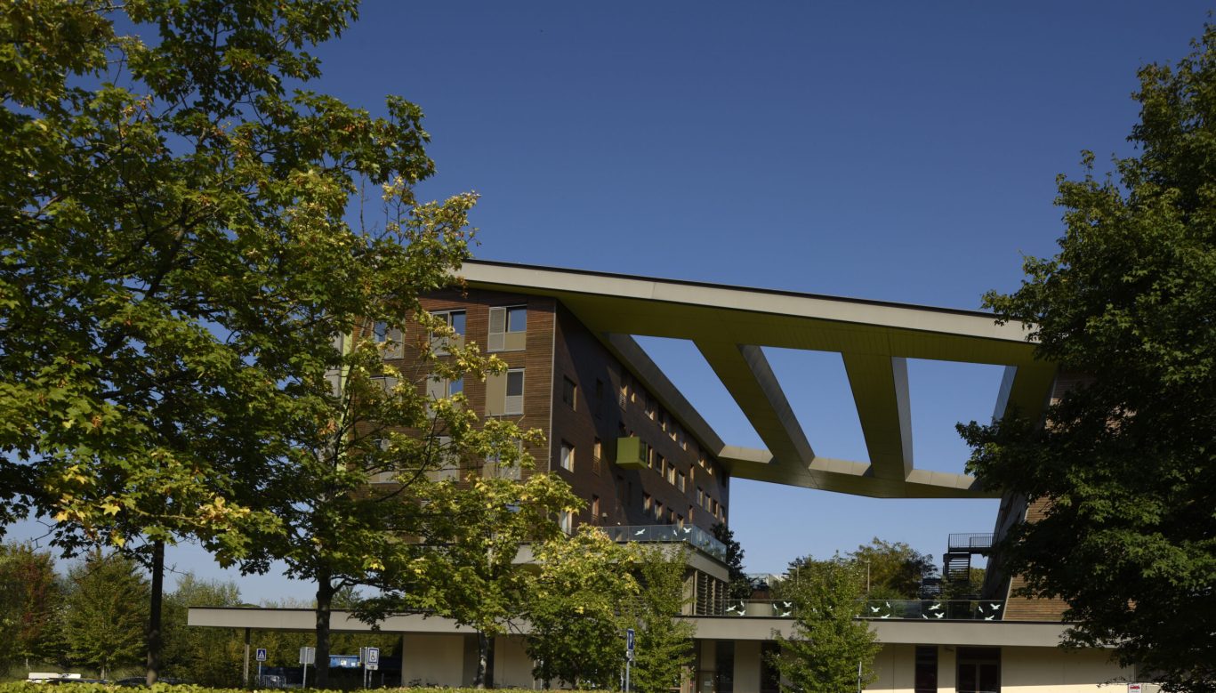 stratégie neutralité carbone