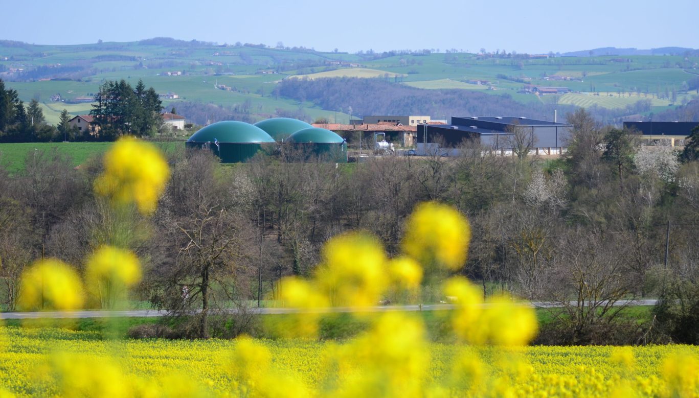 Valorisation CO2 biogénique